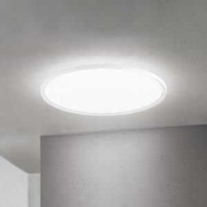 ORION LED stropna svjetiljka Kant, Ø 80 cm, bijela, CCT, metal/plastika, prigušiva, Bijela, Dnevni boravak/blagovaonica, Aluminij