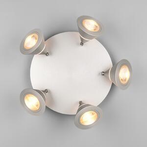 Trio Lighting LED stropni reflektor Romeo, Ø 30 cm, boje nikla, 5 žarulja., Metalik, Dnevni boravak/blagovaonica, Metal