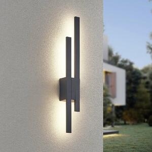 Trio Lighting TAWA LED vanjska zidna svjetiljka, antracit, metalna 62 cm, 2 žarulje, IP54, Crno, Aluminij