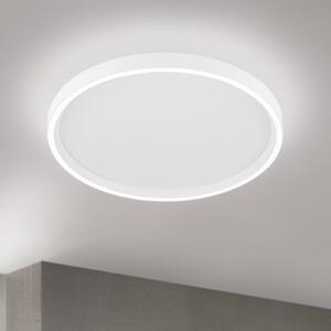 ORION MASCA LED stropna svjetiljka, bijela, Ø 40 cm, CCT, metalna, prigušljiva, prigušiva, Bijela, Dnevni boravak/blagovaonica, Metal