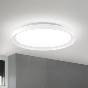 ORION GAMMA LED stropna svjetiljka, Ø 40 cm, bijela, daljinski upravljač, CCT, prigušiva, Bijela, Dnevni boravak/blagovaonica, Metal