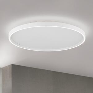 ORION MASCA LED stropna svjetiljka, bijela, Ø 60 cm, CCT, metalna, prigušljiva, prigušiva, Bijela, Dnevni boravak/blagovaonica, Metal