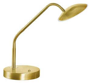 FISCHER & HONSEL Tallri LED stolna lampa, mesing, visina 60 cm, CCT, dodirni prigušivač, prigušiva, Zlato / mjed, Dnevni boravak/blagovaonica, Metal