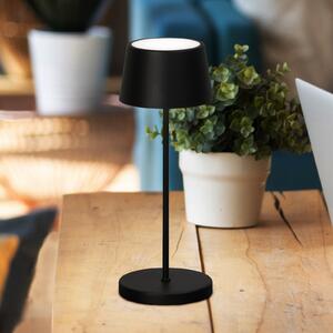 FH Lighting Asena Pro LED punjiva stolna lampa, pješčano crna, 30 cm, metalna, IP54, prigušiva, Crno, Metal