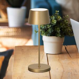 FH Lighting LED punjiva stolna lampa Asena Pro brončana boja 30 cm metalna IP54, prigušiva, Bronca / stari mesing, Metal
