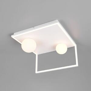 Trio Lighting Arola LED stropna svjetiljka, mat bijela, širine 37 cm, metalna, prigušiva, Bijela, Dnevni boravak/blagovaonica, Metal