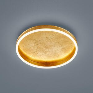 Helestra Sona LED stropna svjetiljka s mogućnošću prigušivanja Ø40cm zlatna, prigušiva, Zlato / mjed, Područje hodnika, Metal