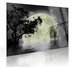 Staklena slika - Polna luna nad površjem, črno-bela različica (70x50 cm)