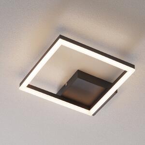 Bard LED stropna svjetiljka, 27x27 cm, antracit
