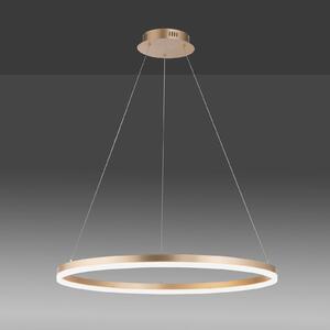 Paul Neuhaus LED viseća svjetiljka Titus, Ø 80 cm, mesing, mogućnost, prigušiva, Zlato / mjed, Dnevni boravak/blagovaonica, Metal
