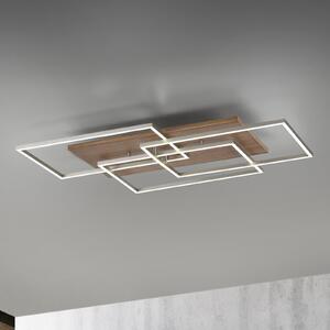 Paul Neuhaus Palma LED stropna svjetiljka CCT okvir, prigušiva, Drvo, Dnevni boravak/blagovaonica, Metal