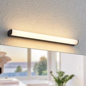 Lindby Ulisan LED kupaonska zidna svjetiljka, okrugla, 58,8 cm, Crno, kupaonica, Metal