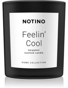 Notino Home Collection Feelin' Cool (Bergamot Scented Candle) mirisna svijeća 220 g