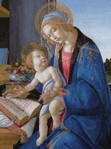 Reprodukcija umjetnosti The Madonna & The Book - Sandro Botticelli, (30 x 40 cm)