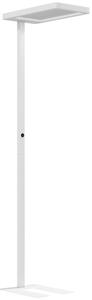 LED podna lampa