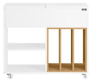 Ormar za dokumente 30x61x70 cm