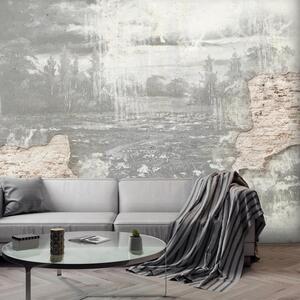 Foto tapeta - Livada u betonskom zidu - crno-bijela (147x102 cm)