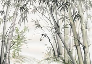 Foto tapeta - Bambusi (147x102 cm)