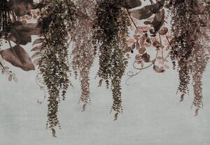 Foto tapeta - Biljke puzavice (147x102 cm)
