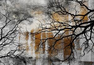Foto tapeta - Drvo u betonu (147x102 cm)