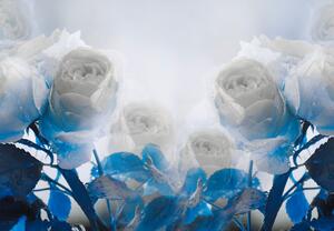 Foto tapeta - Bijele ruže (147x102 cm)
