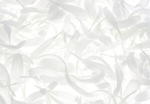 Foto tapeta - Bijelo lišće (147x102 cm)