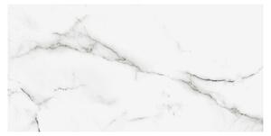 Porculanska pločica Calacatta Silk Marble (61 x 30,5 cm, Siva, Svilenkasti sjaj)