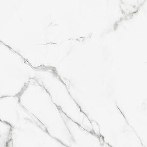Porculanska pločica Calacatta Silk Marble (61 x 61 cm, Siva, Svilenkasti sjaj)