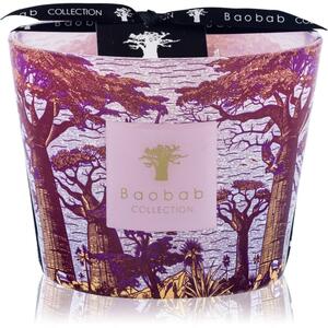 Baobab Collection Sacred Trees Massasso mirisna svijeća 10 cm