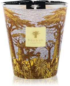 Baobab Collection Sacred Trees Cocody mirisna svijeća 16 cm