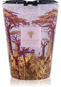 Baobab Collection Sacred Trees Massasso mirisna svijeća 24 cm