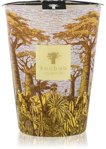 Baobab Collection Sacred Trees Cocody mirisna svijeća 24 cm