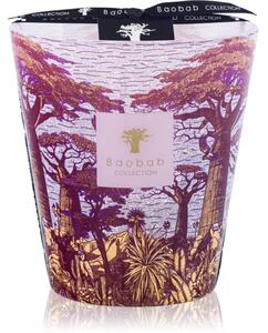 Baobab Collection Sacred Trees Massasso mirisna svijeća 16 cm