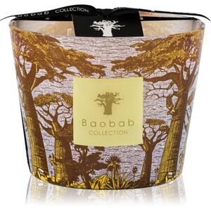 Baobab Collection Sacred Trees Cocody mirisna svijeća 10 cm