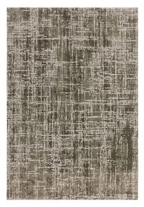 Kaki zeleni tepih 160x230 cm Kuza – Asiatic Carpets
