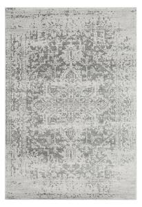 Sivi tepih 80x150 cm Nova – Asiatic Carpets