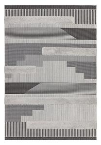 Sivi vanjski tepih 200x290 cm Monty – Asiatic Carpets
