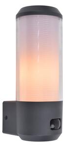 Lutec Heros Zidna svjetiljka sa senzorom - Grlo E27, max 15 W, antracit - 8522596385099