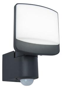 Lutec Sunshine Vanjski LED reflektor - LED 12,5 W, 5000 K, 800 lm, antracit - 6996895629356