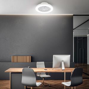 Briloner Pafo LED stropni ventilator, bijeli, plastični, CCT, daljinski upravljač, prigušiva, Bijela, spavaća soba, Plastika