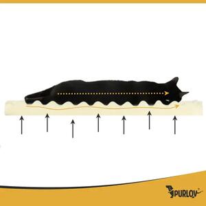 Purlov ortopedski ležaj za pse M 80x65 cm – pjenasti madrac i skidiva navlaka