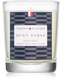 Tommy Hilfiger Home Collection Spicy Cedar svijeća 180 g