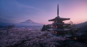 Fotografija Mt Fuji Sakura, Javier de la