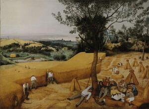 Reprodukcija The Harvesters, Bruegel, Pieter the Elder