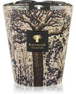 Baobab Collection Sacred Trees Morondo mirisna svijeća 16 cm