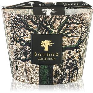 Baobab Collection Sacred Trees Kani mirisna svijeća 10 cm