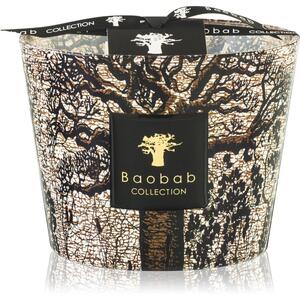 Baobab Collection Sacred Trees Morondo mirisna svijeća 10 cm