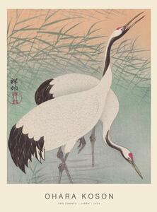 Reprodukcija Two Cranes (Special Edition) - Ohara Koson