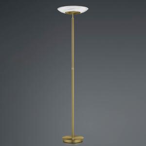 HELL Findus LED podna lampa, 1 žarulja, starinski mesing, prigušiva, Bronca / stari mesing, Dnevni boravak/blagovaonica, Metal