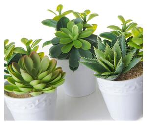 Umjetne biljke u setu 6 kom (visina 11 cm) – Casa Selección